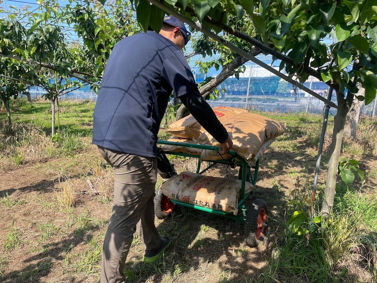 【梨農家×DX】収穫の重労働を劇的に改善！真夏の過酷な運搬作業を支える「E-cat kit2」