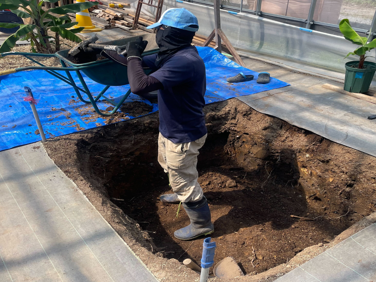 【農業×女性活躍】バナナ苗の重労働を劇的に改善！女性スタッフを支える電動一輪車の導入効果